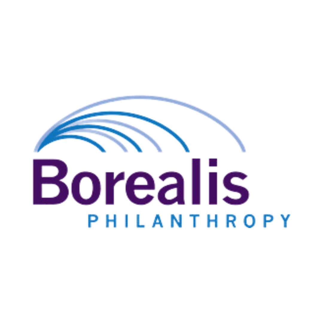 borealis philanthropy logo